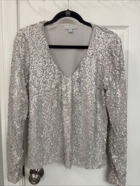 Allison Joy Silver Sequin Long Sleeve V-Neck Top